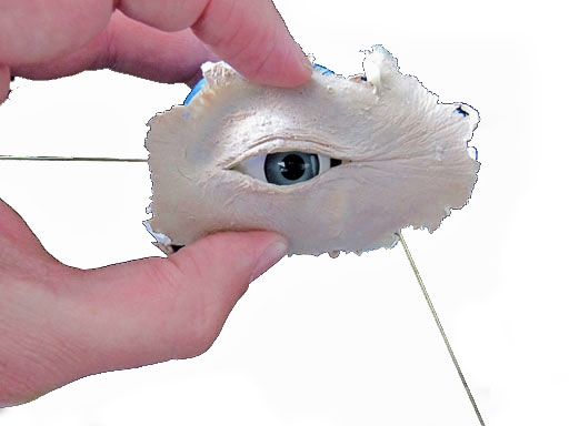 click for animatronic eye