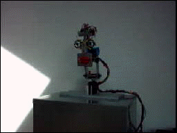 click to see the video