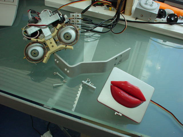 EYESJAW.jpg