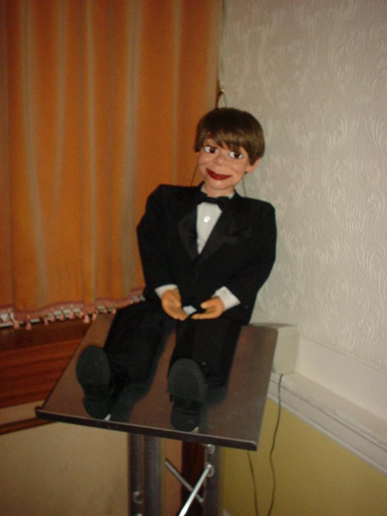 steve12.jpg