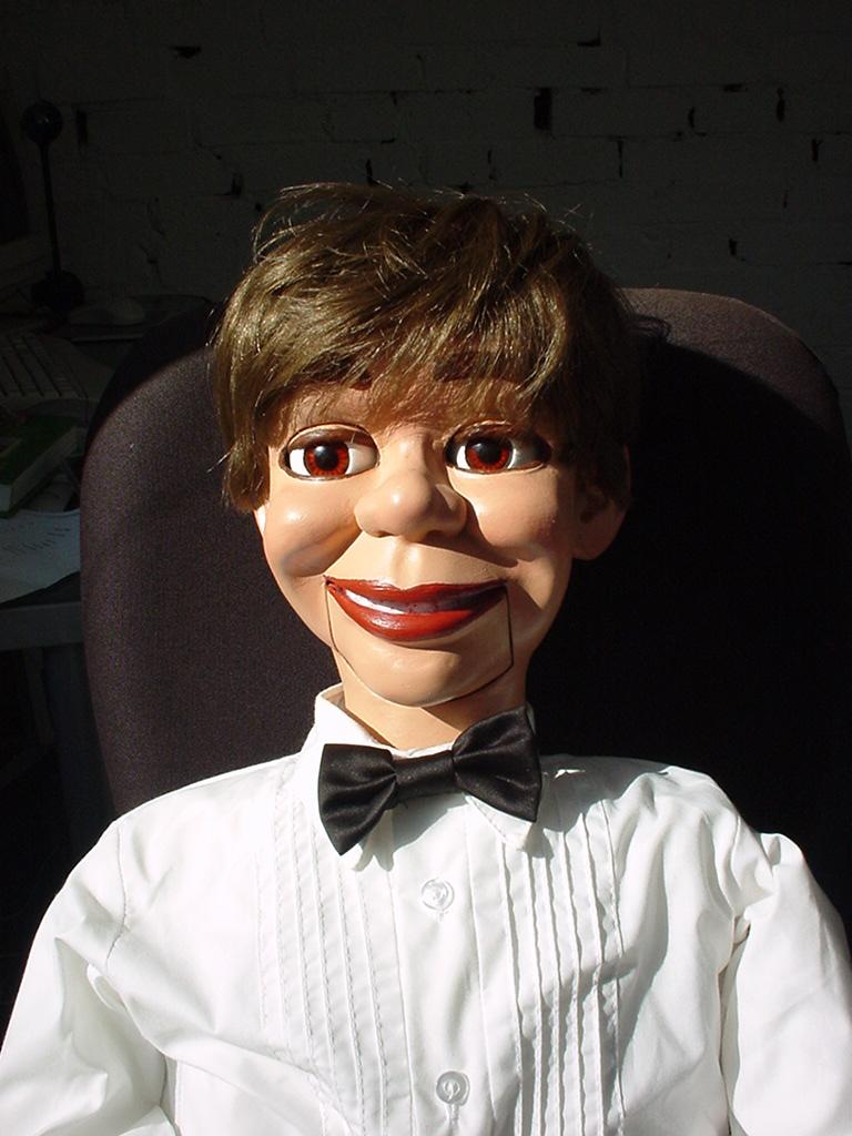 steve6.jpg